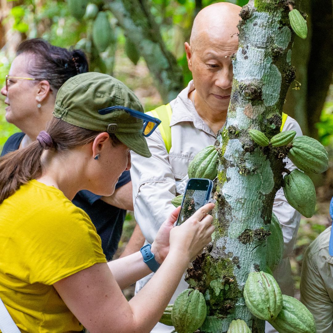Farm to Factory Tour & Chocolate Making