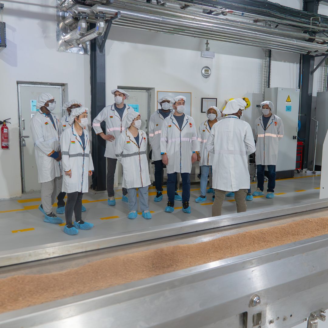 Factory Tour & Chocolate Making