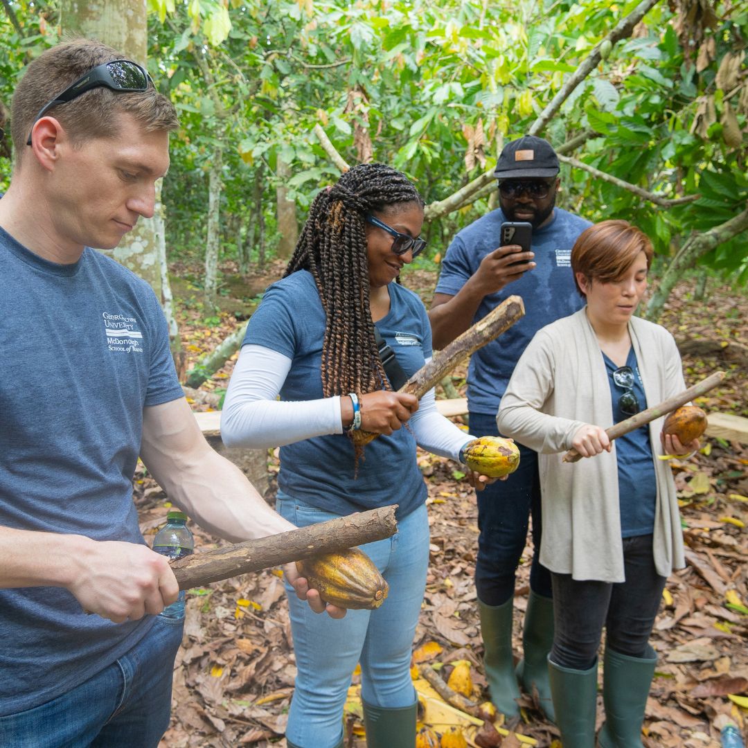 Farm to Factory Tour & Chocolate Making