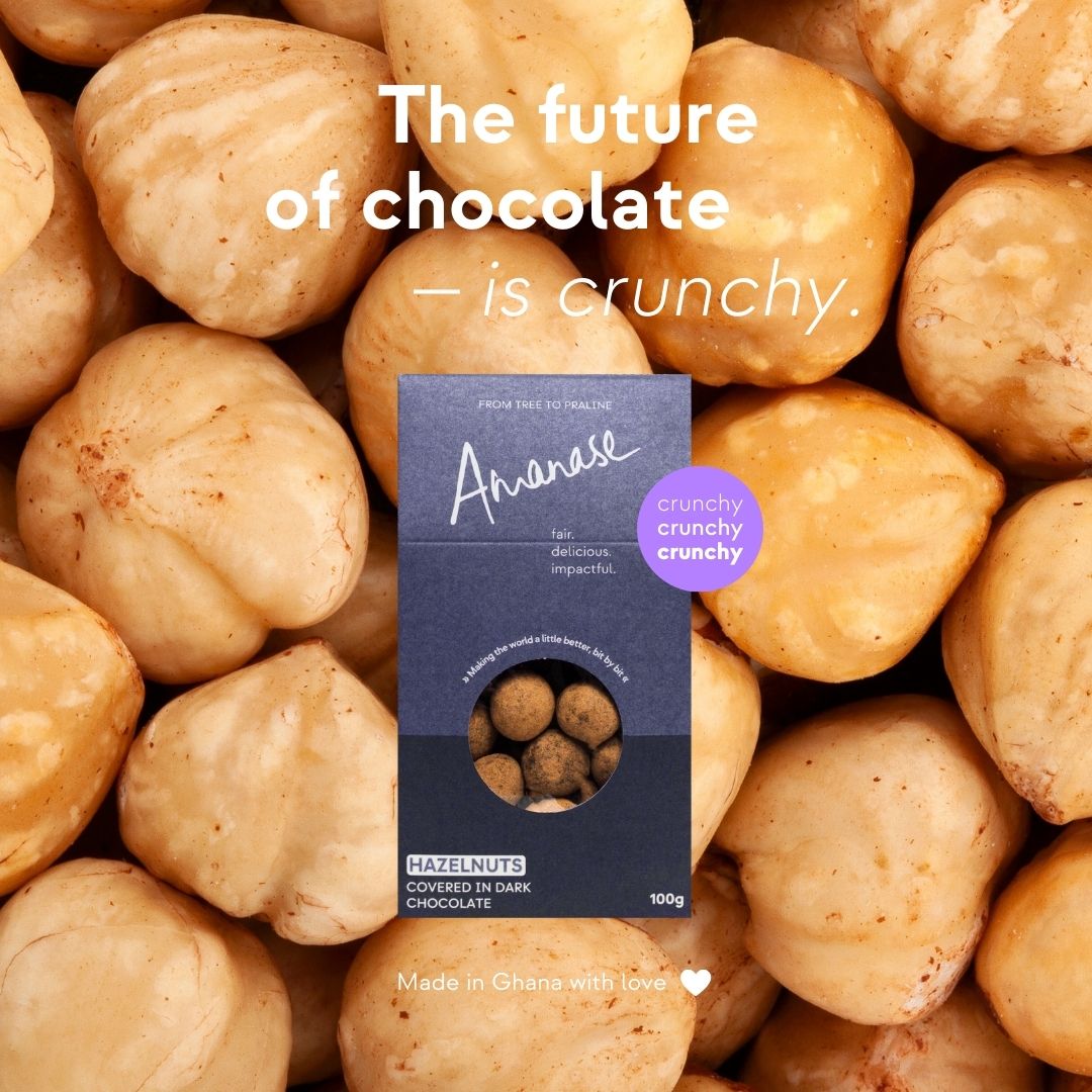 Hazelnuts Covered in Chocolate | Snackbox