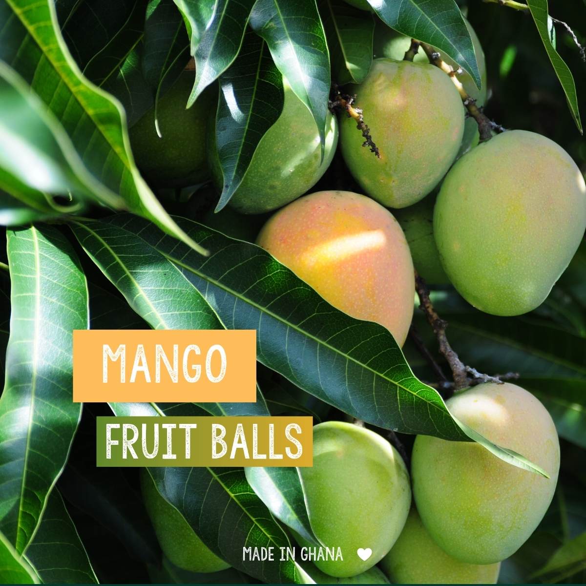 Mango Fruit Balls