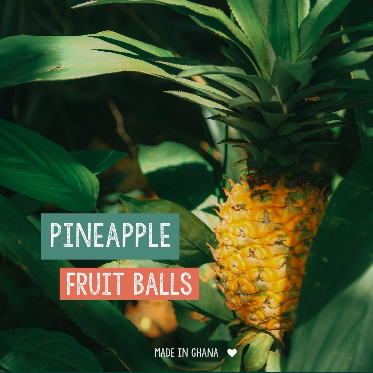 Pineapple Fruit Balls