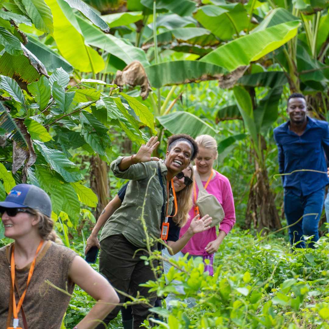 Farm to Factory Tour & Chocolate Making