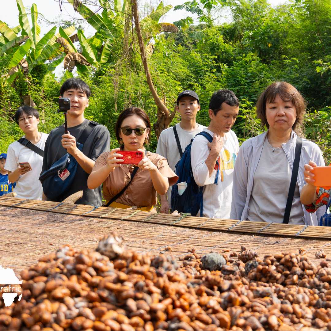 Farm to Factory Tour & Chocolate Making