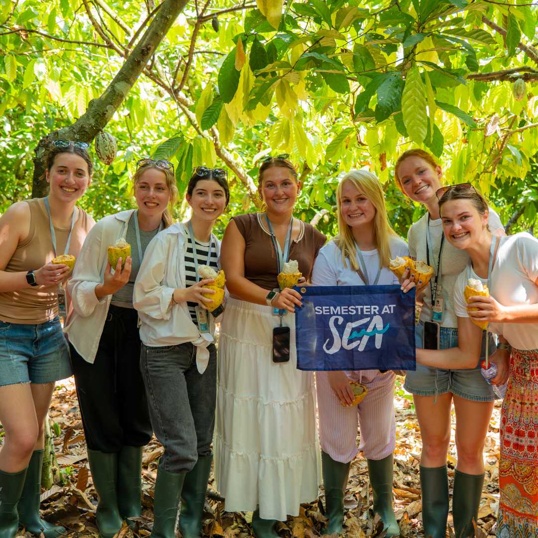 Farm to Factory Tour